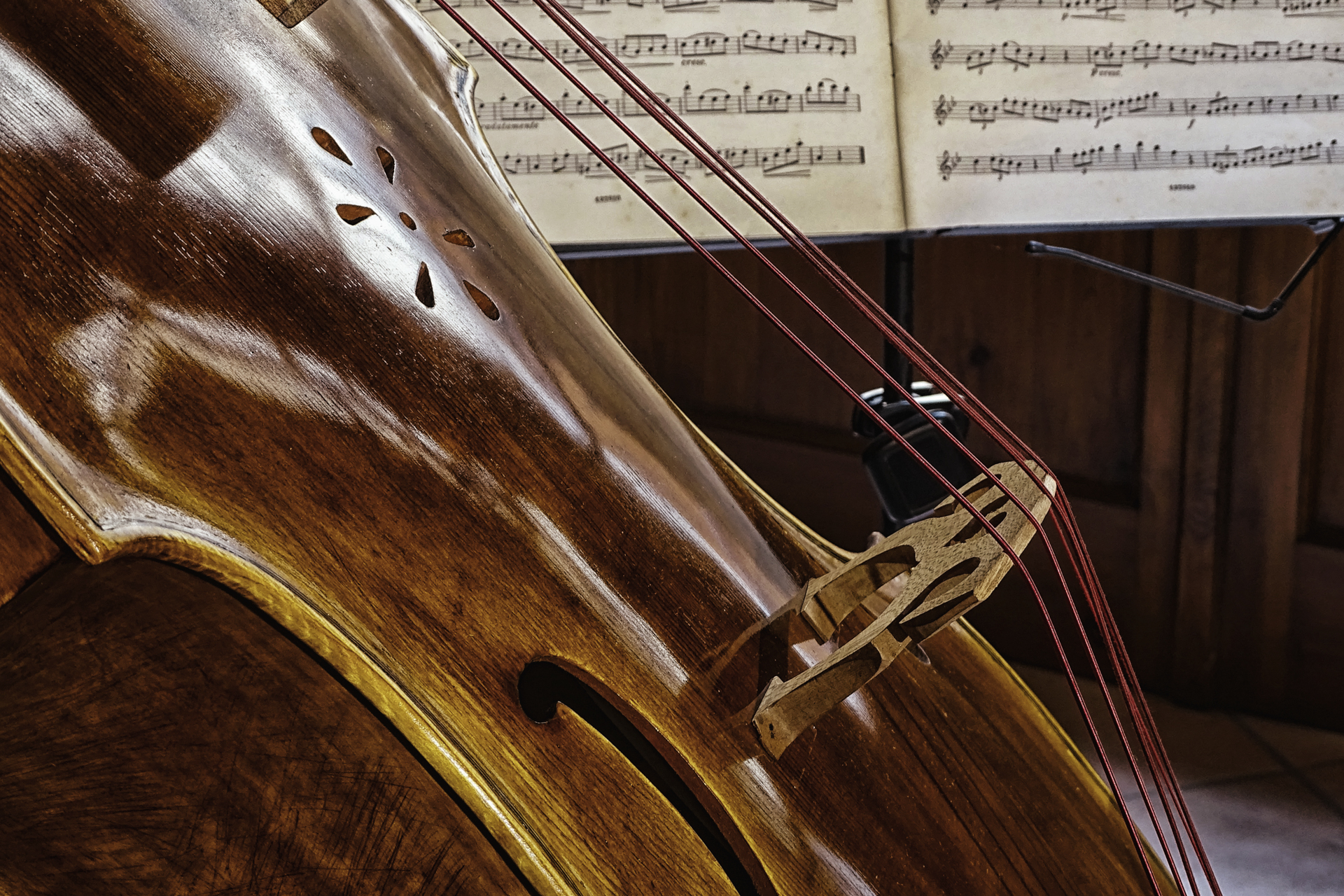 16 Sostenendo la magia TERZA CLASS MARCO MASI
CENTRO SRERIMENTALE PRATO

Una scelta fotografica interessante e originale. Uno still life ben studiato nel taglio compositivo. Lautore inquadra in primo piano un elemento del violino chiamato ponte o pontice