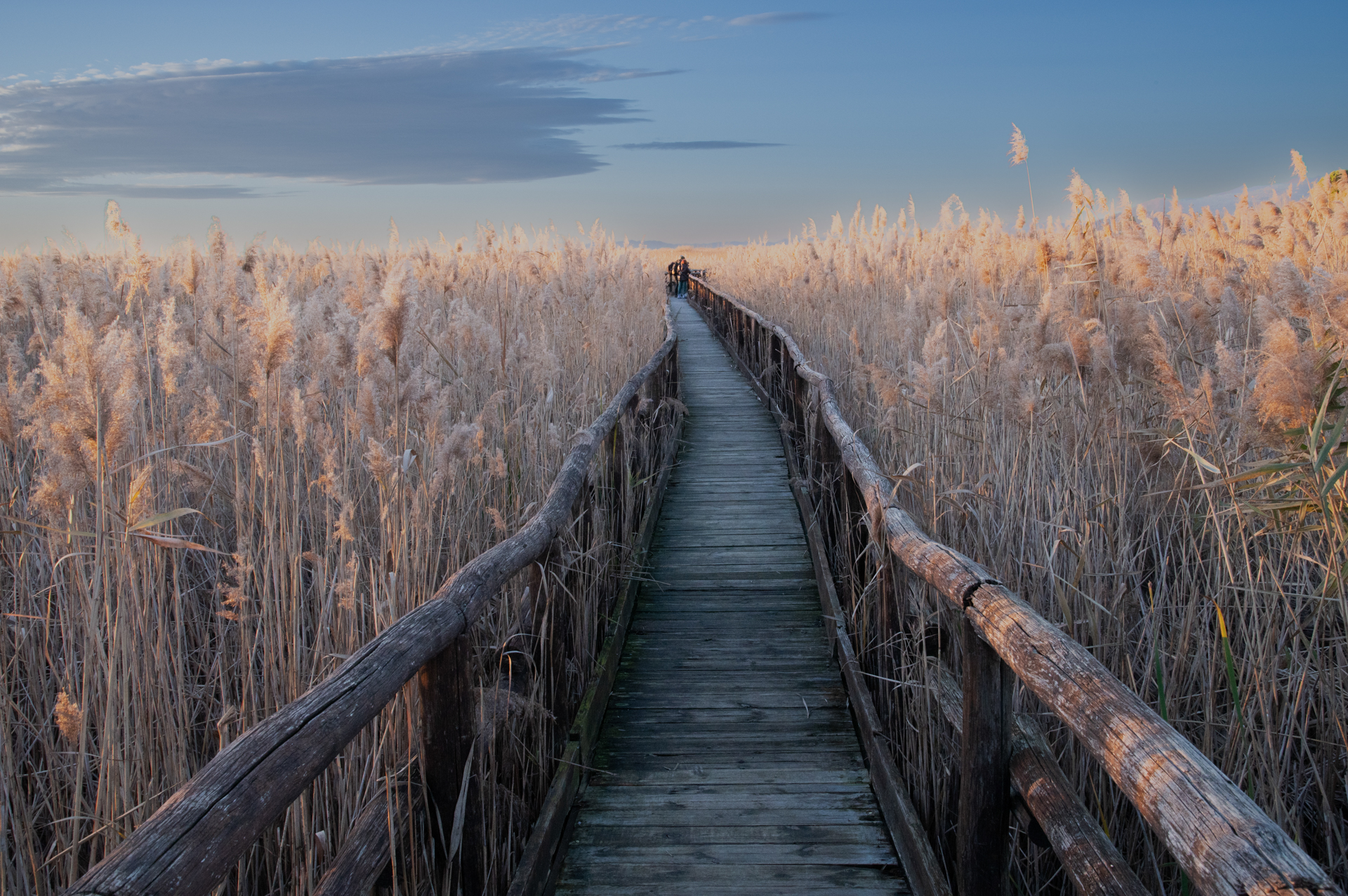 3 Verso la natura NONA CLASS ALESSIO CALIBRI
CENTRO SPERIMENTALE PRATO
Immagine bucolica. Un ponte di legno apre come un sipario la strada per attraversare perfettamente lo spazio dove la natura  regina e consente ai visitatori di immergersi in essa per 