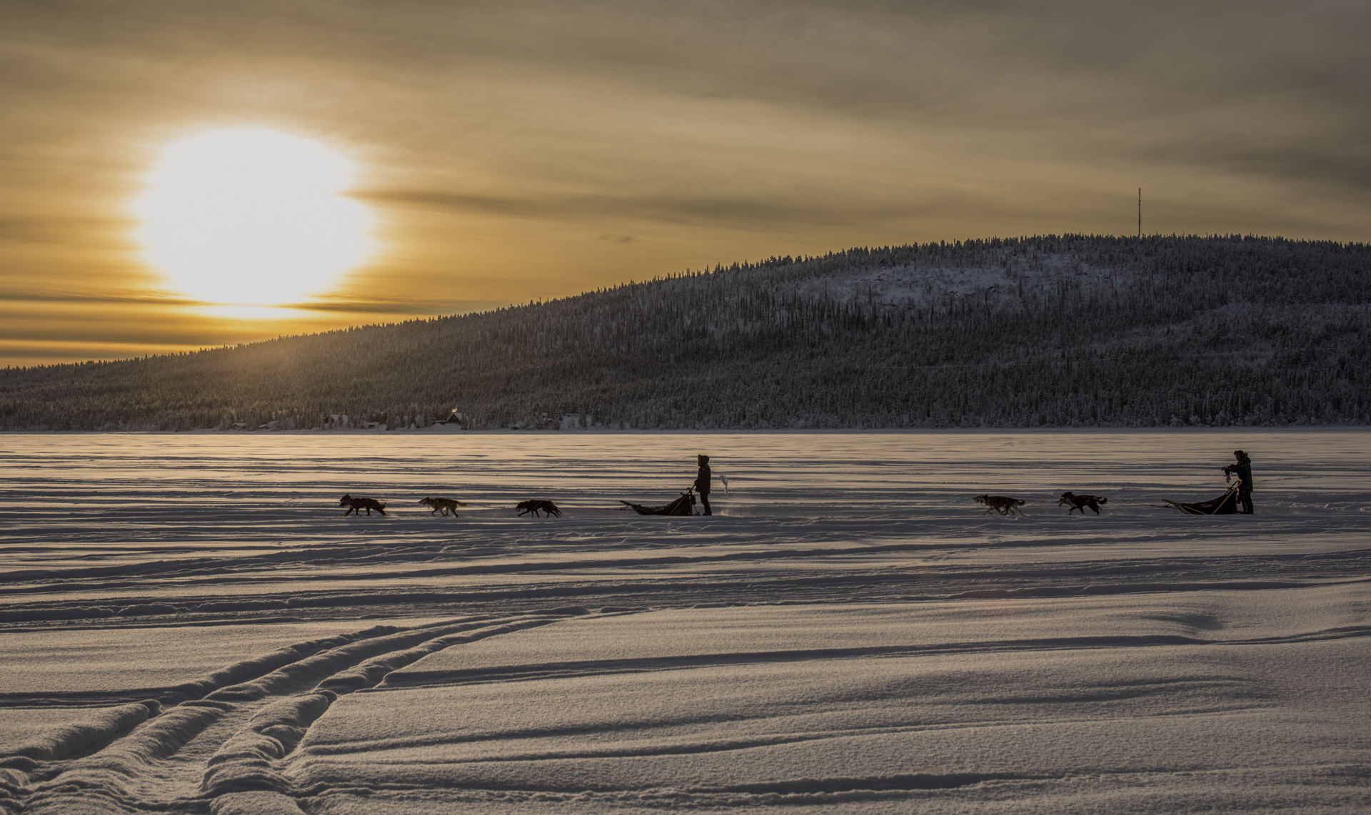 N.35)DECIMO CLASS-
CENTRO SPERIMENTALE MARCO PARENTINI

Il controluce  lenergia estetica che avvolge limmagine tingendola di monocromo caldo e disegnando in silhouettes le slitte che corrono sul lago ghiacciato innevato. La composizione trova ogni cosa