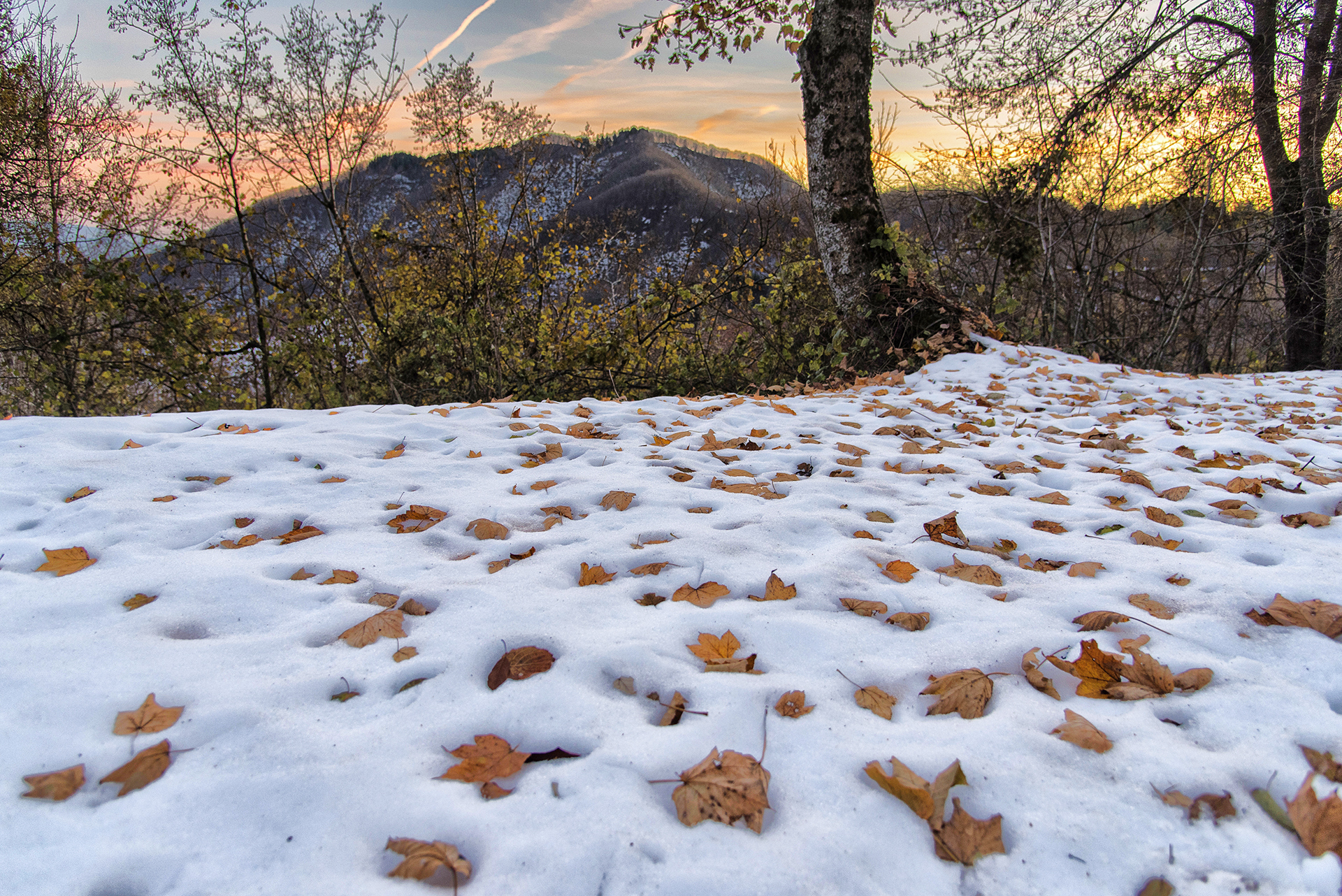 N.26)SESTACLASS-
IMAGO CLUB ROBERTO FONTANI

La composizione della soglia innevata manifesta la consapevolezza davere scoperto la bellezza delle foglie cadute sulla neve.  unimmagine che parla anche ai sensi col calore raccolto dalle foglie che ha scio