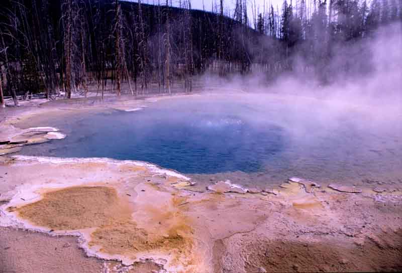 Wyoming-Yellowstone National Park,
