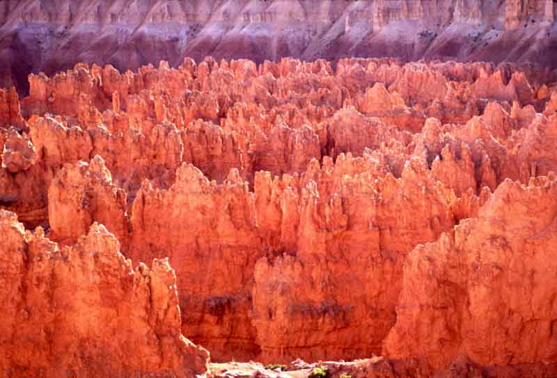 Utah-Bryce Canyon national park,